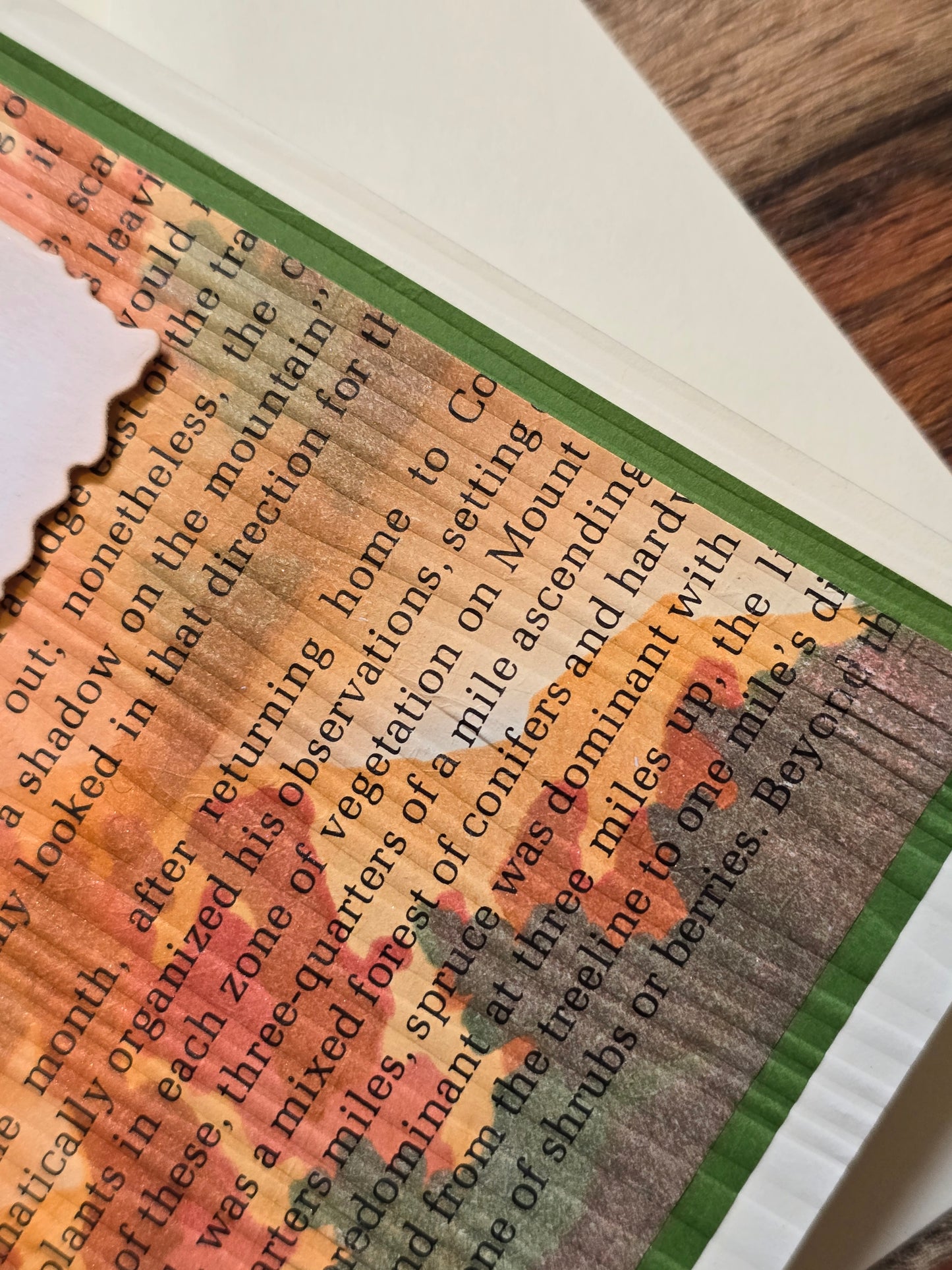 Get your sh*t together and go for a walk. (Handmade Greeting Card)