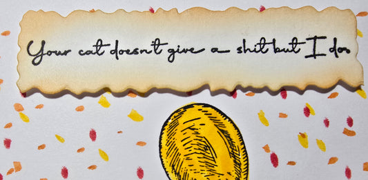 Your cat doesn't give a shit but I do (Handmade Birthday Card)