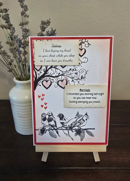 ...I recorded you snoring last night (Sweary Handmade Anniversary Card)