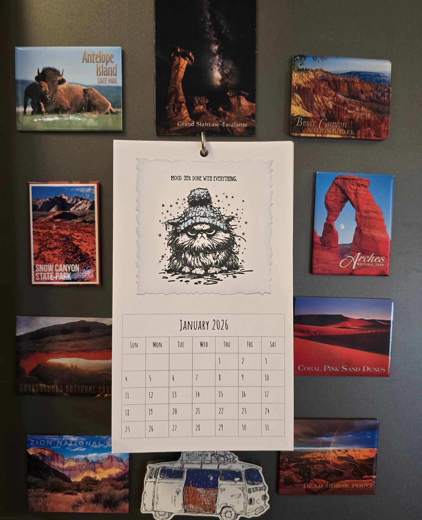 "Pissy Kitty" 2026 Hanging Calendar (Magnetic Hanger Hook Included)