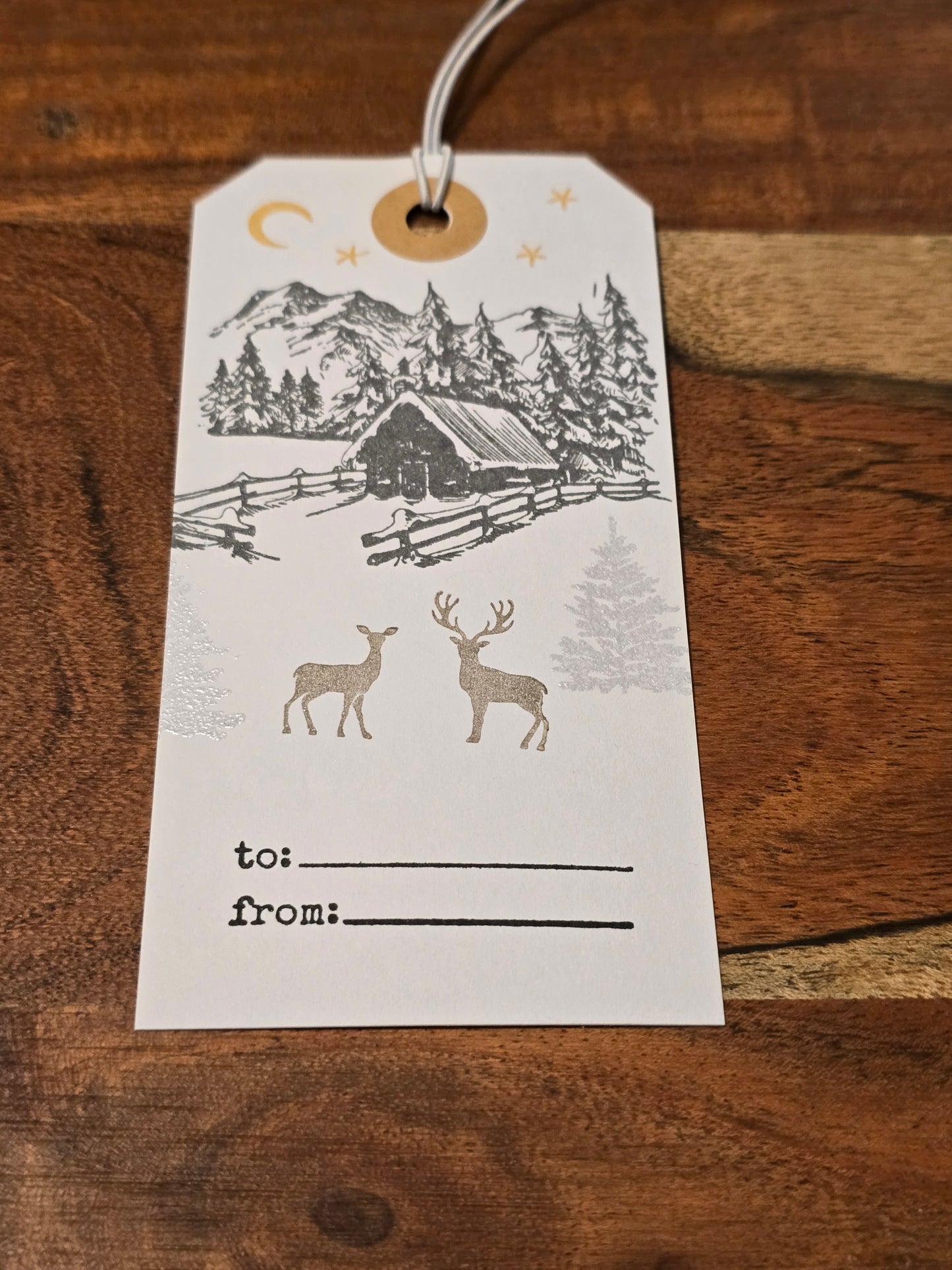 Wintery Nature Themed Holiday Gift Tags (Double Sided, Set of 5)
